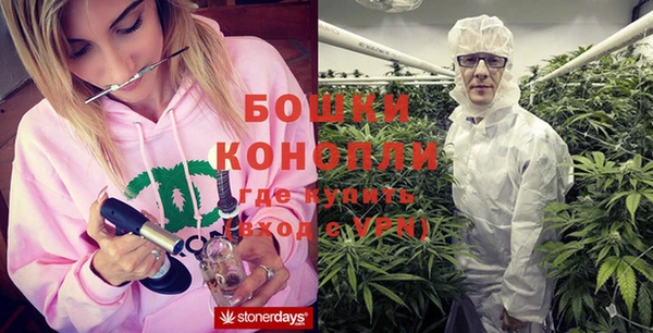 прущие грибы Богородск