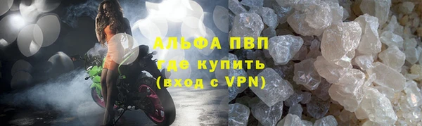 прущие грибы Богородск