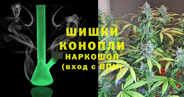 прущие грибы Богородск