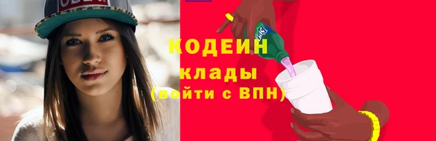 прущие грибы Богородск