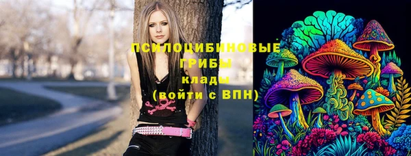 прущие грибы Богородск