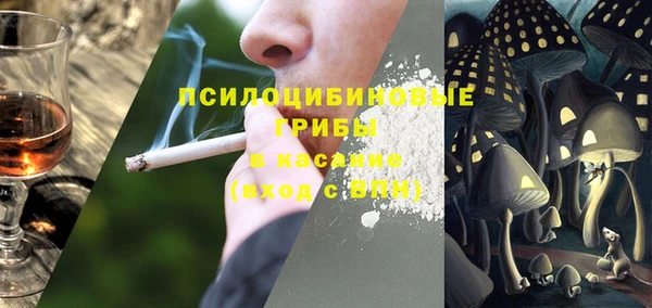 прущие грибы Богородск