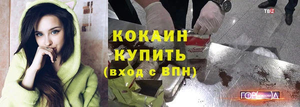прущие грибы Богородск