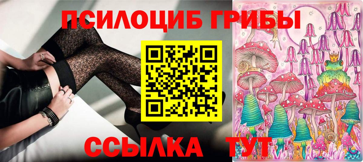 Галлюциногенные грибы Psilocybine cubensis Горячий Ключ