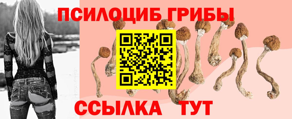 Галлюциногенные грибы MAGIC MUSHROOMS  Вход с VPN  Горячий Ключ 